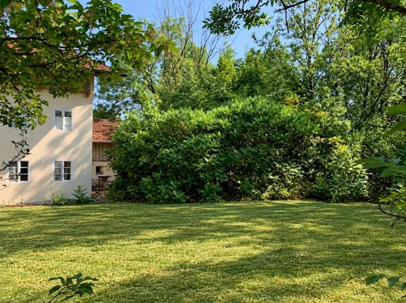 Garten mit großer Rasenfläche